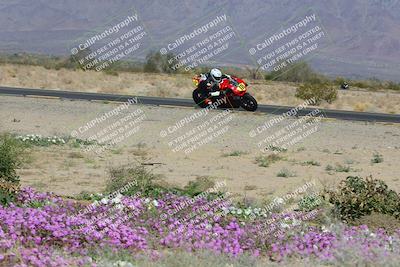 media/Feb-04-2023-SoCal Trackdays (Sat) [[8a776bf2c3]]/Turn 15 Inside Blooming (1050am)/